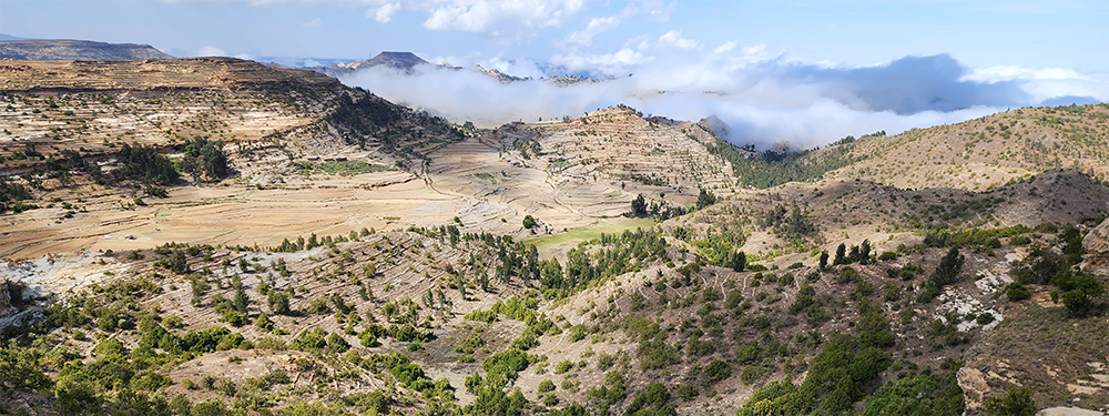 Desa’a, Ethiopia © Aklilu Negussie Mekuria, WeForest